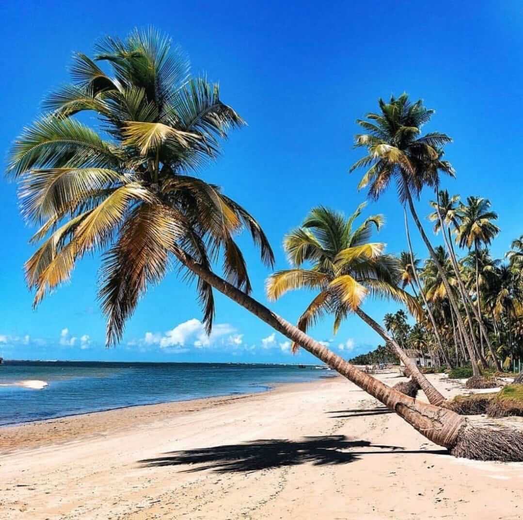 PRAIA DE CARNEIROS wr-tur