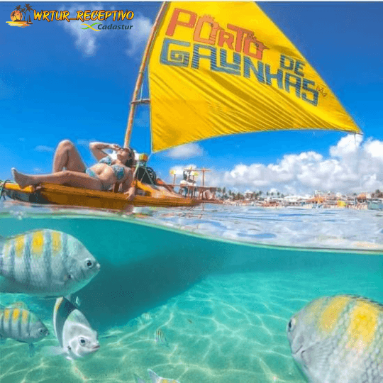 img-wr-tur-porto-de-galinhas