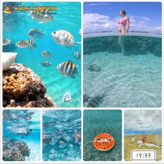 img-wr-tur-praia-de-maragogi